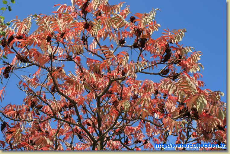 Vous avez atteint la dernière diapositive